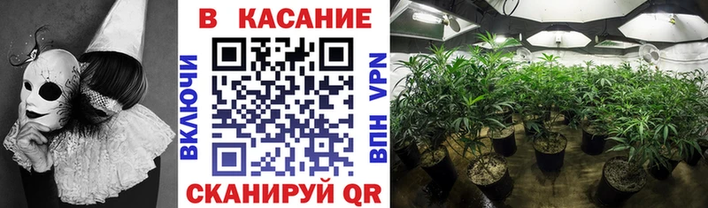 Какие есть наркотики Саянск Псилоцибиновые грибы гидра рабочий сайт Меф мяу мяу Гашиш Канабис