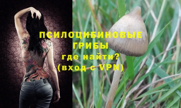 трава Ростов