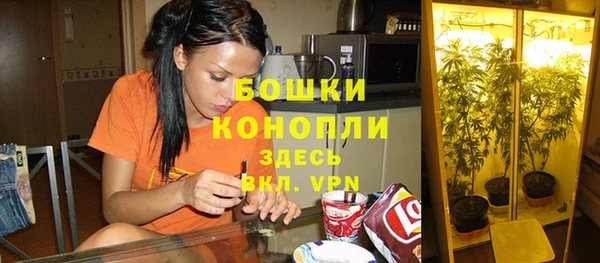 ПСИЛОЦИБИНОВЫЕ ГРИБЫ Россошь